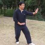 时海军老师的三体式拳照——中国石头